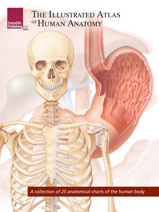 Title details for The Illustrated Atlas of Human Anatomy by Scientific Publishing, Ltd. - Available
